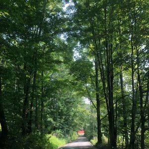 Meet your Posher, Rose ann